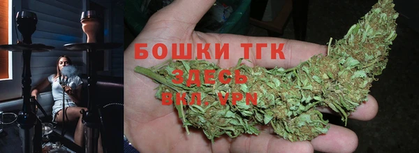 прущие крисы Алзамай