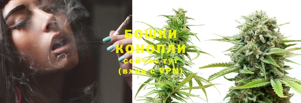 PSILOCYBIN Навашино