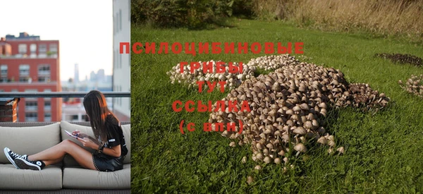 прущие крисы Алзамай