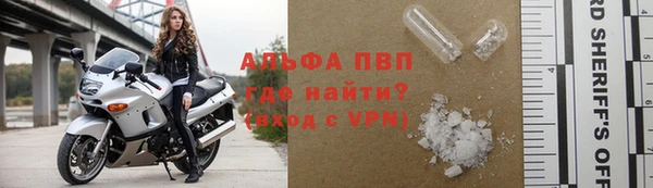 PSILOCYBIN Навашино